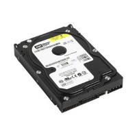 Picture of WD 320GB IDE 8Mb